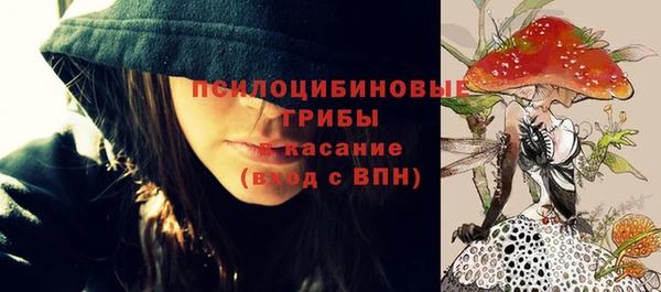 круглые Козловка